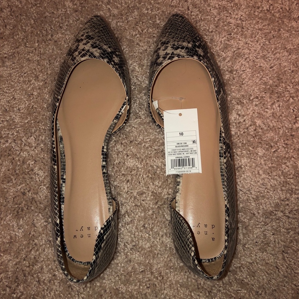 Pointed toe flat